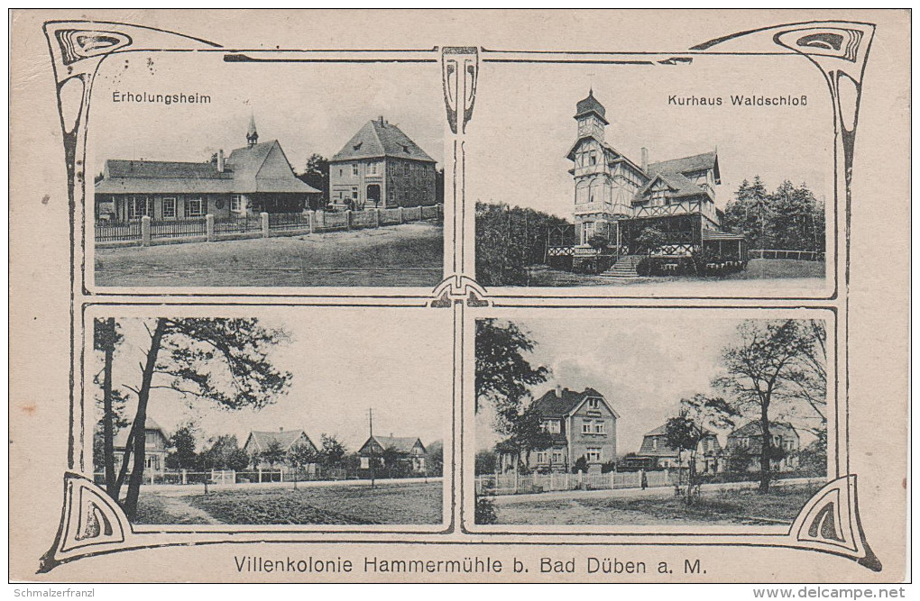 Litho AK Villenkolonie Hammermühle Bad Düben Kurhaus Erholungsheim Bei Leipzig Torgau Wurzen Eilenburg Delitzsch Laussig - Bad Dueben