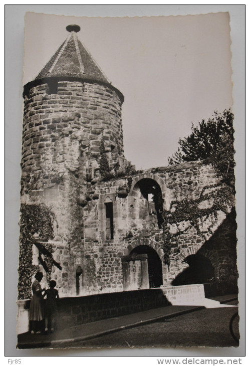 LAHR  STORCHENTURN TOUR AUX CIGOGNES - Lahr