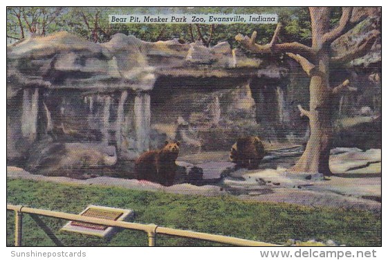 Bear Pit Mesker Park Zoo Evansville Indiana - Evansville