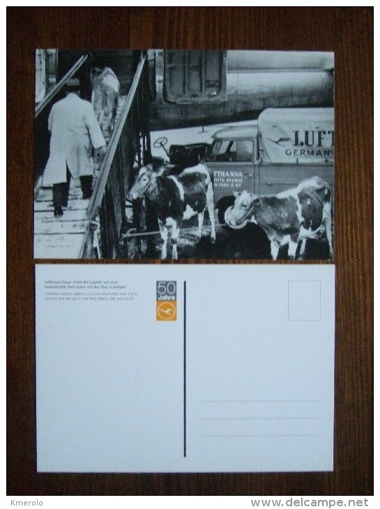 Lufthansa Airlines 50 Jahre Carte Postale - 1946-....: Moderne