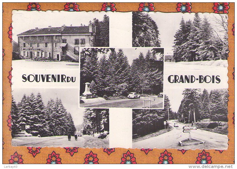 1 Cpa Souvenir Du Grand Bois - Autres & Non Classés