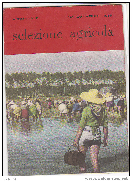 C1737 - Rivista SELEZIONE AGRICOLA N.2 - 1953/AGRICOLTURA/DOCTOR JUSTUS LIEBIG/PASTORIZIA/COLTIVAZIONI RISO - Scientific Texts