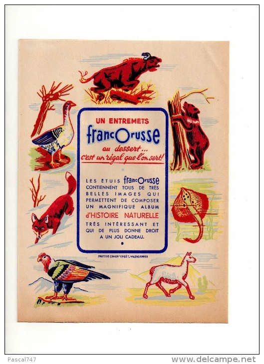 Entremets Francorusse Ours Oie Renard Coq Lama Raie  Taureau  Parasol Enfants Protege Cahiers - Animales