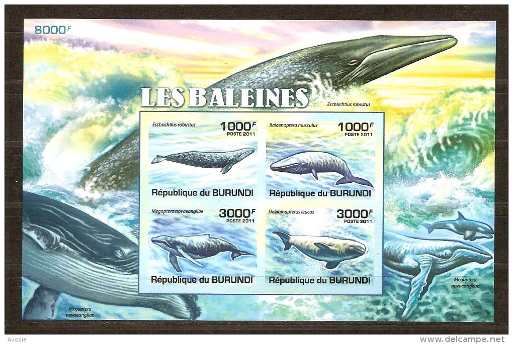 Burundi 2011 OCBn° Bloc 163 ND Ongetand *** MNH Cote 37 Euro Faune Baleines Walvissen - Unused Stamps