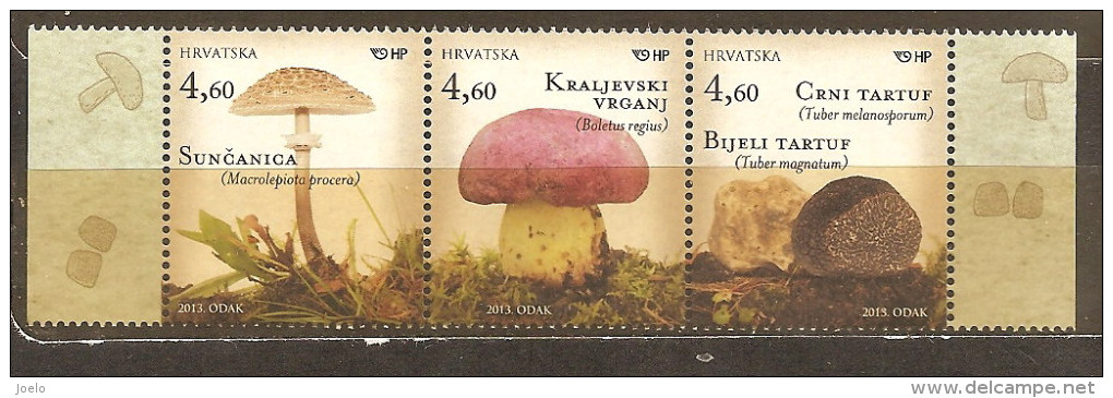 CROATIO 2013 MUSHROOMS  MNH - Croatia