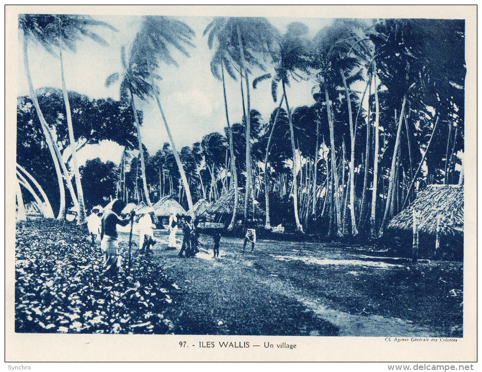 Format 24x18 ; Iles Wallis , Un Village - Wallis Y Futuna