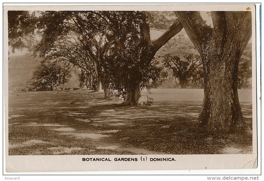 Dominica W. I.  Botanical Garden Editor Written 1937 From Roseau  No Stamp - Dominique