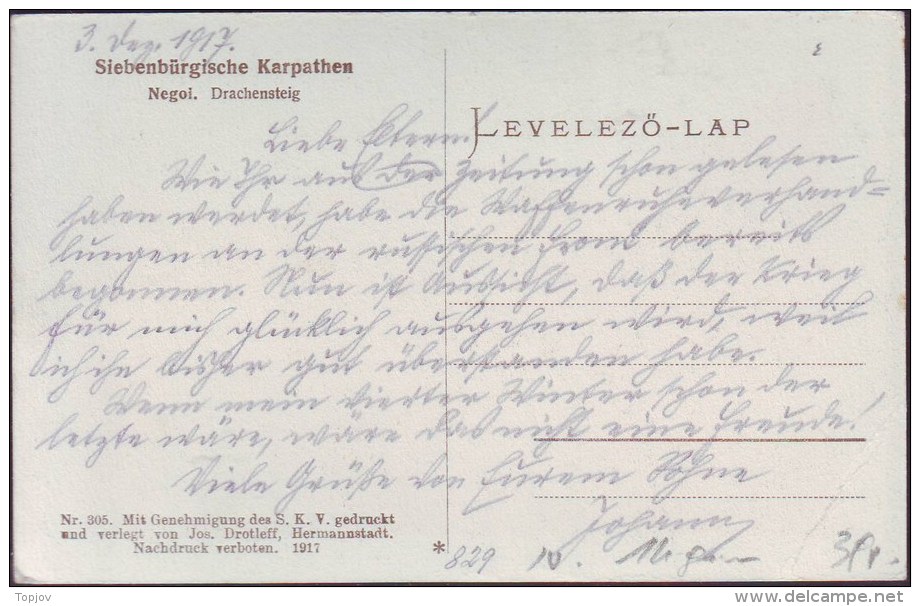 ROMANIA  -  KARPATHEN -  Edit Fos. Drotleff. - Hermannstadt - 1917 - Roumanie