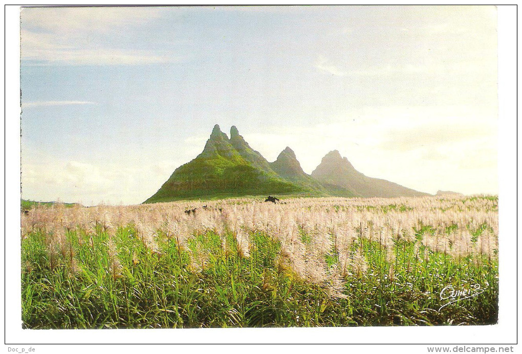 Mauritius - Ile Maurice - Les Trois Mamelles - Mauritius