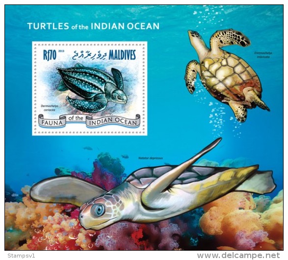 Maldives. 2013 Turtles. (109b) - Tortues