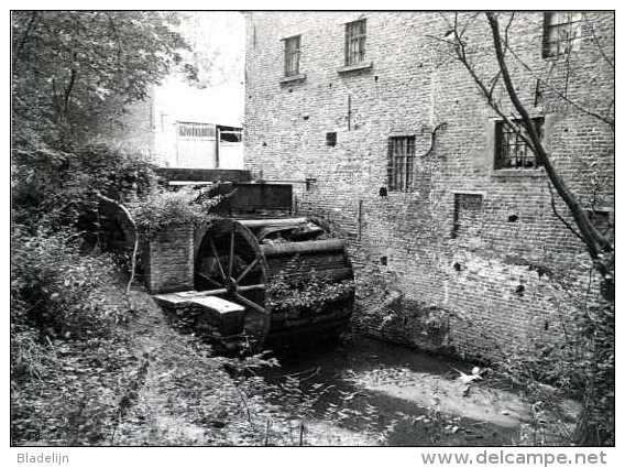 AAIGEM Bij Erpe-Mere (O.Vl.) - Molen/moulin - Historische Opname (1977) Van De Engelse Molen - Erpe-Mere