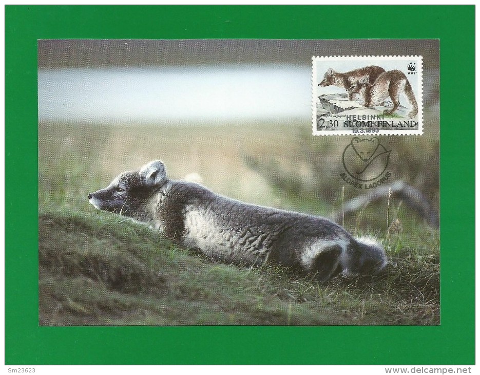 Finnland / Suomi 1993  Mi.Nr. 1205 ,  Maximum Card , The Arctic Fox - Issue Date 19.3.1993 - Maximum Cards & Covers