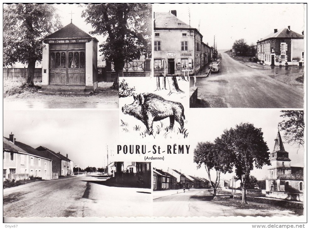 POURU-SAINT-REMY (Ardennes) Vues Diverses  Avec SANGLIER - ANIMAUX- VOIR 2 SCANS - Autres & Non Classés