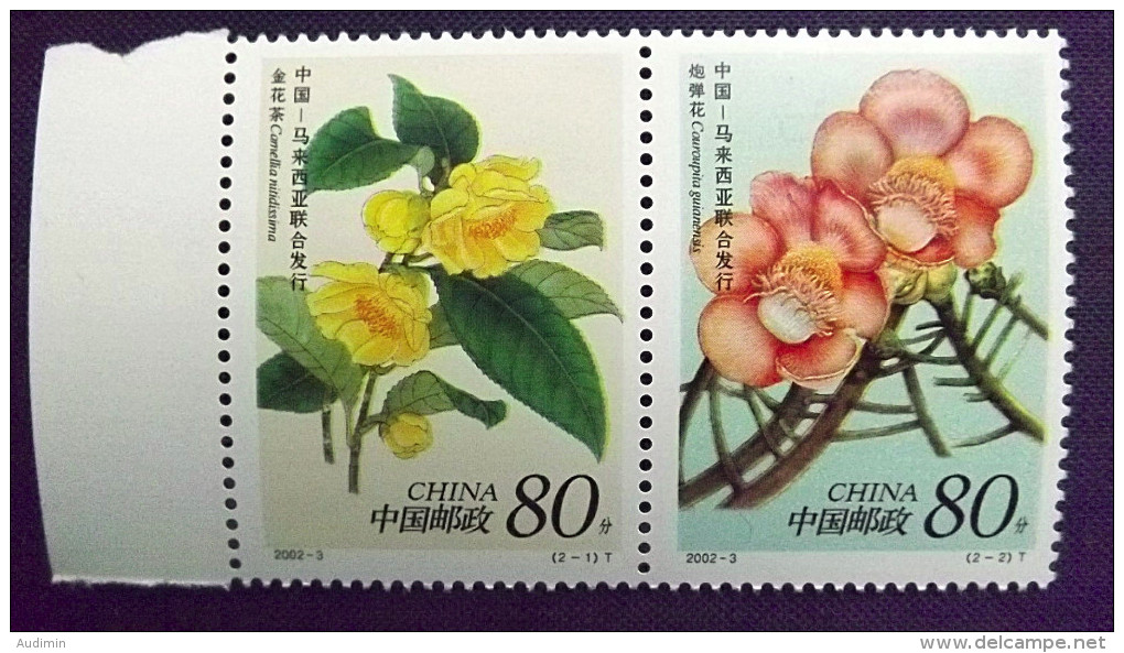 China VR 3327/8 **/mnh, 2002/3 Mit Fluor. No., Camellia Nitidissima, Kanonenkugelbaum - Neufs