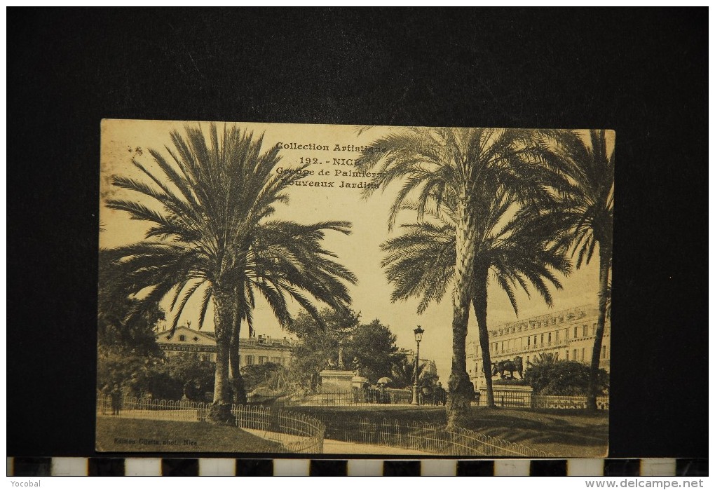 CP, 06, NICE Groupe De Palmiers Nouveaux Jardins N° 192 Voyagé En 1909 - Parchi E Giardini