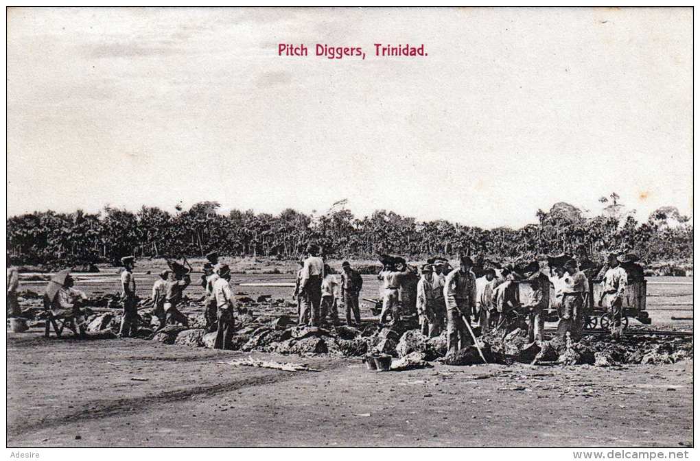 TRINIDAD - Pich Diggers, Um 1910 - Trinidad