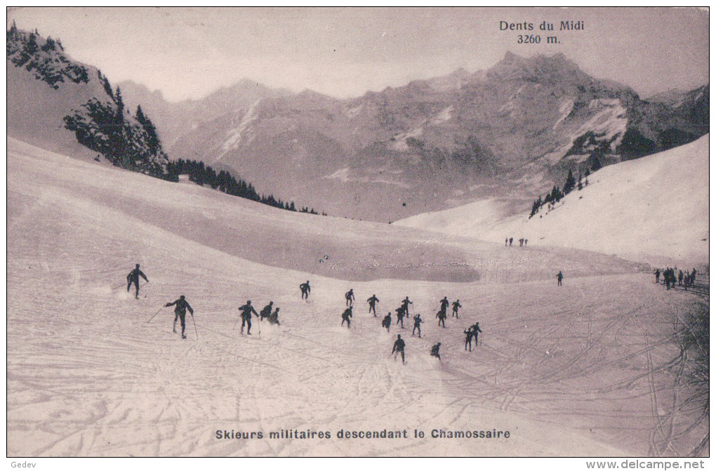 Les Mosses, Skieurs Militaires Descendant Le Chamossaire (905) - Sonstige & Ohne Zuordnung
