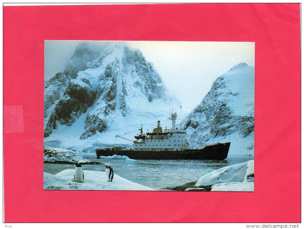 Bateau Dans Les Glaces En Island . - Tugboats