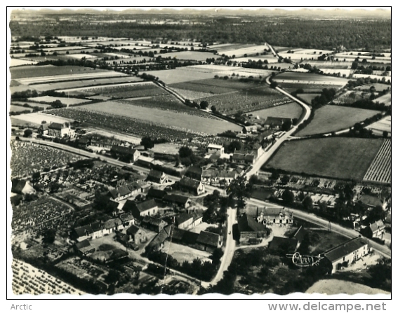 Faye D'Anjou Mont Vue Aérienne - Autres & Non Classés