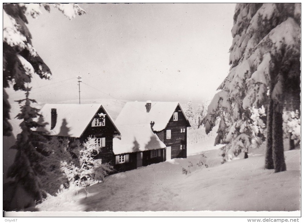 ORBEY (Haut-Rhin)  Chalet Tinfronce-Ski-Club Du Lac Blanc - Photo 1 VOIR 2 SCANS - - Orbey