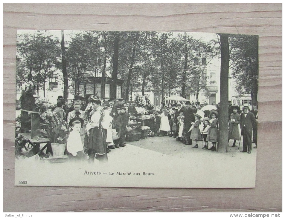 Cp/pk 1907 Antwerpen Anvers Le Marché Aux Fleurs Bloemen Markt - Antwerpen