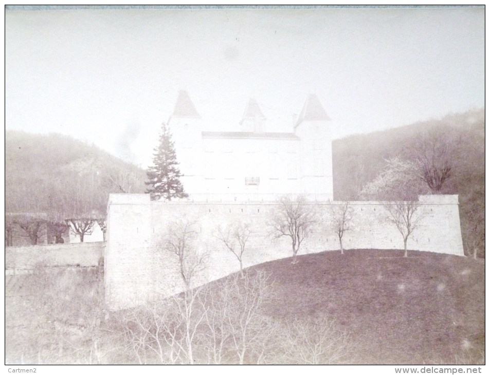 PHOTOGRAPHIE ANCIENNE 1884 : LIMONEST LE CHATEAU 69 RHONE - Limonest