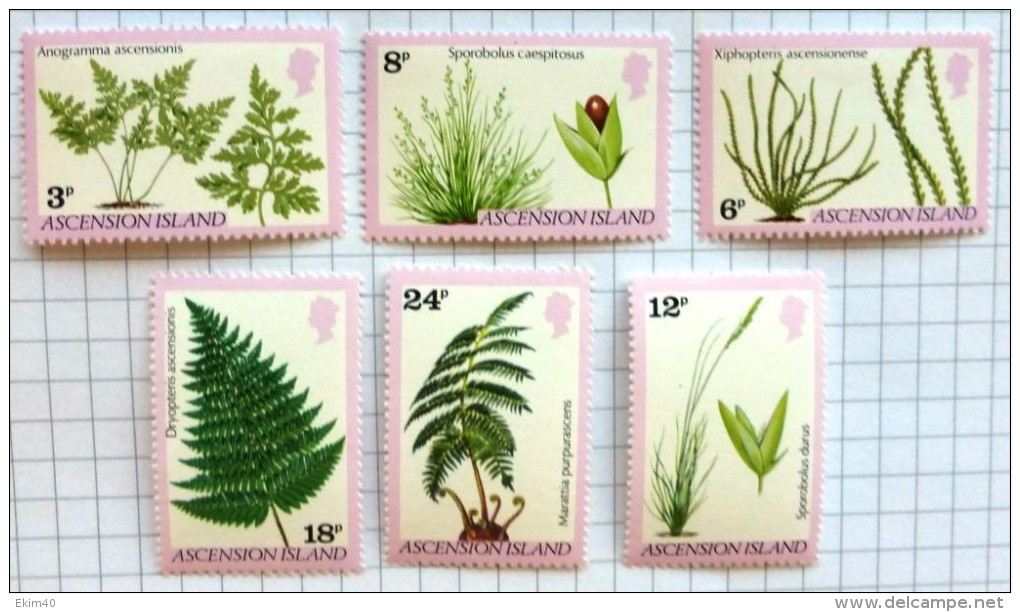 Selection Of 6  Mint-MNH Flower Stamps From Ascension Islands Issued 1980 No DEL-1087 - Ascensione