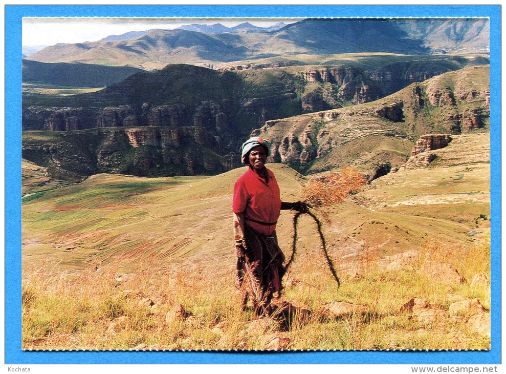 AVR244, Mosotho Woman,rope Making, Near Ha Sekake, Lesotho, GF, Non  Circulée - Lesotho