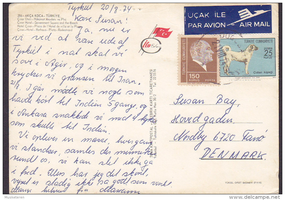 Turkey PPC Akca Koca Ucak Ile Par Avion Airmail Label 1974 Card Karte To FANØ Denmark Dog Hund Chien (2 Scans) - Luftpost