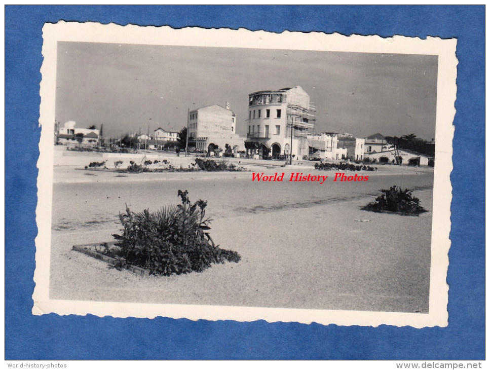 Photo Ancienne - CANET PLAGE ( Pyrénées Orientales ) - Immeubles En Construction - Septembre 1952 - Lieux