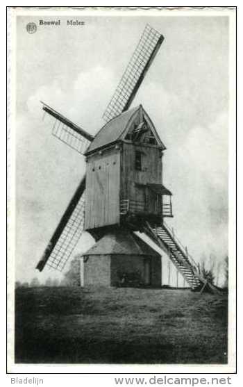 BOUWEL - Grobbendonk (Prov. Antwerpen) - Molen/moulin - De Standaardmolen Van Bouwel Omstreeks 1950 Met Geknakte Wieken - Grobbendonk