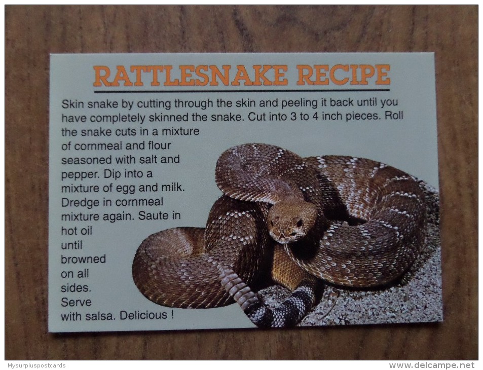 42549 PC:  RECIPES: USA:  RATTLESNAKE RECIPE. - Recipes (cooking)