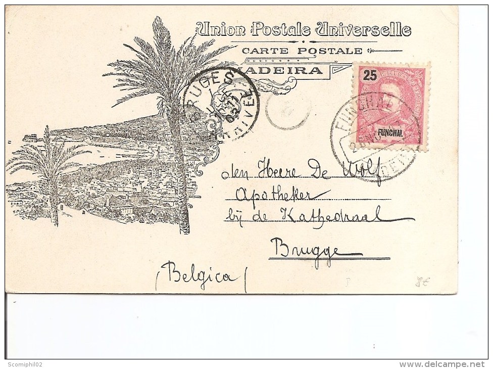 Funchal ( Carte Postale De 1903 Vers Bruges En Belgique à Voir) - Funchal