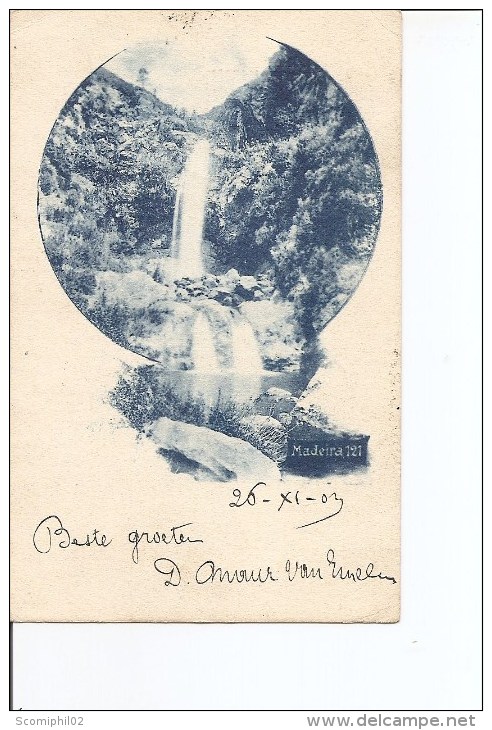 Funchal ( Carte Postale De 1903 Vers Bruges En Belgique à Voir) - Funchal