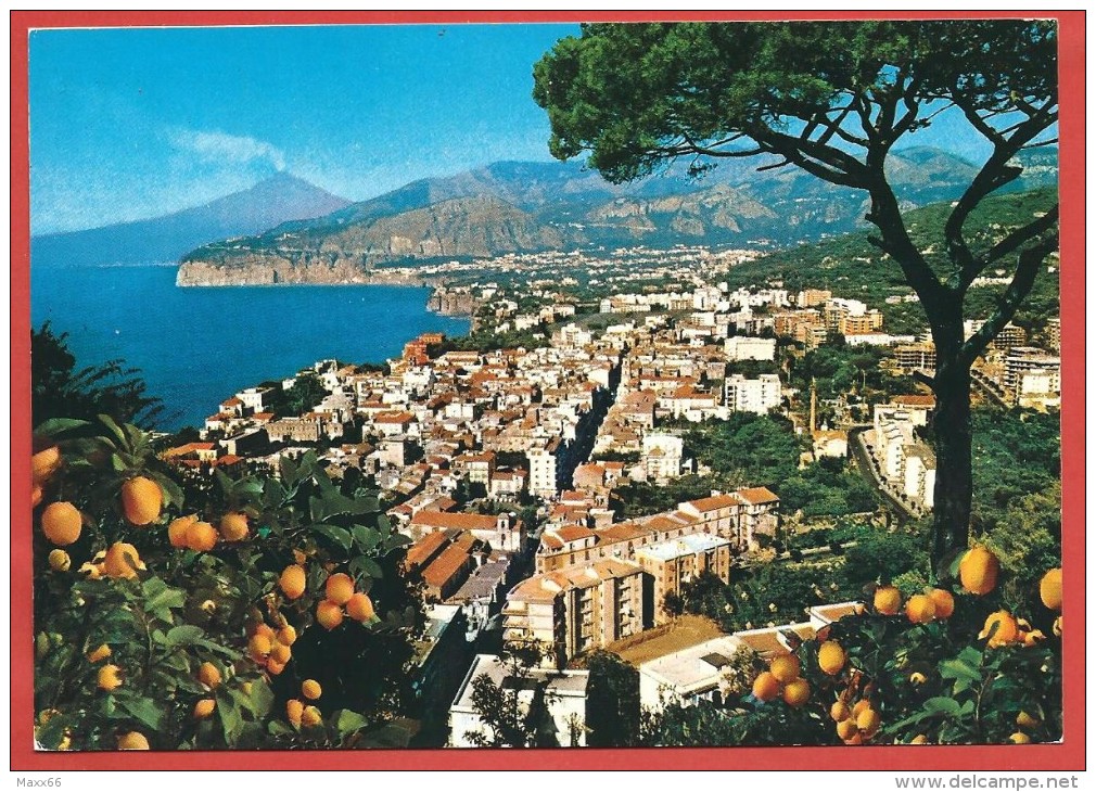 CARTOLINA VG ITALIA - SORRENTO (NA) - Panorama - 10 X 15 - ANNULLO 1981 - Other & Unclassified