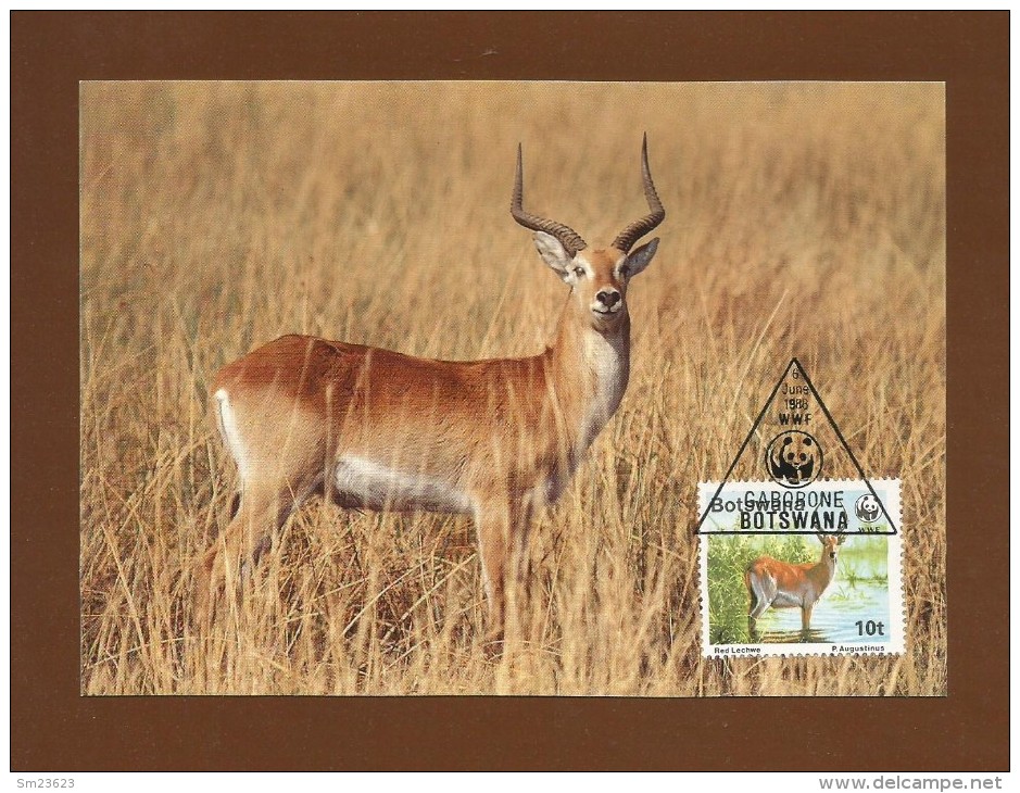 Botswana 1988 , Maximum Card - Red Lechwe - WWF - First Day 6 June 1988 - Botswana (1966-...)