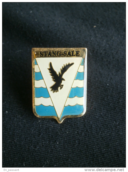 PIN´S BLASON ARMOIRIES RAPACE PAPANGUE ETANG SALE Ile De La REUNION - Steden