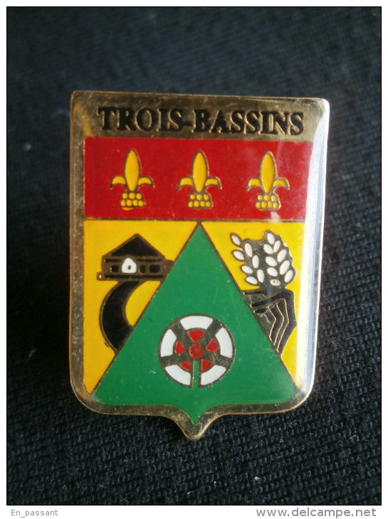 PIN´S BLASON ARMOIRIES FLEUR DE LYS TROIS BASSINS Ile De La REUNION - Cities