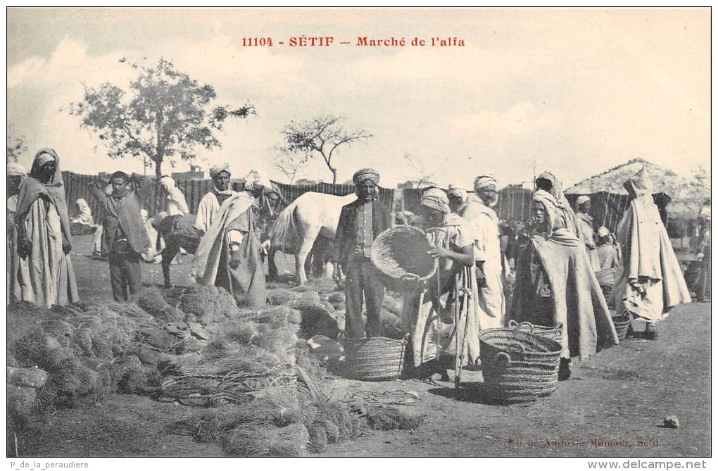 CPA ALGERIE SETIF MARCHE DE L'ALFA - Sétif