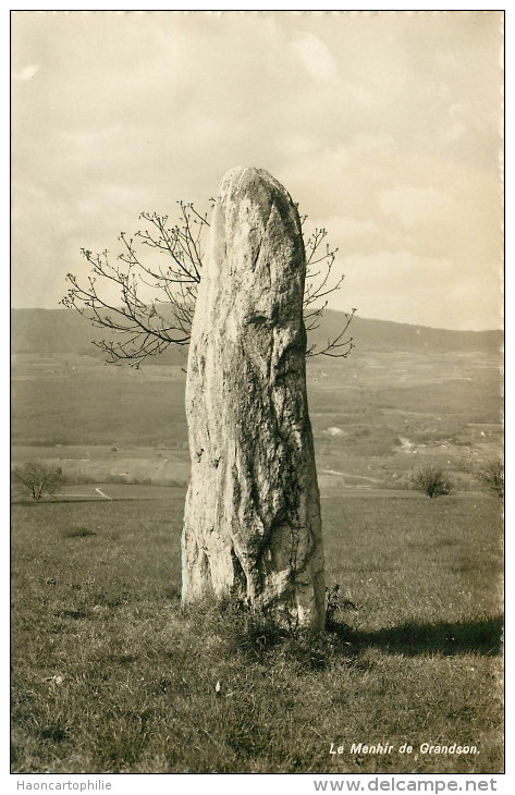 Le Menhir De Grandson - Grandson