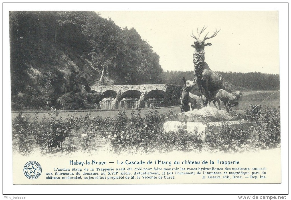 CPA - HABAY LA NEUVE - La Cascade De L'étang Du Château De La Trapperie   // - Habay