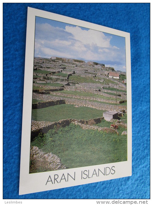 Aran Islands. Insight SP242. - Galway