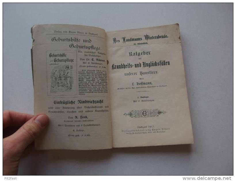 Krankheits- Und Unglücksfällen Unserer Haustiere , 1912, Ratgeber, E. Ulmer In Stuttgart , Tierarzt , Tiere , Erste Hife - Alte Bücher