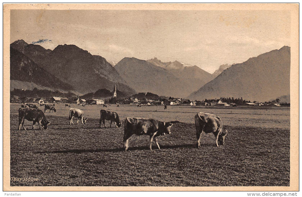 ALLEMAGNE.  OBERSTDORF I. B. ALLGÂU.  PANORAMA.  TROUPEAU DE VACHES. - Oberstdorf