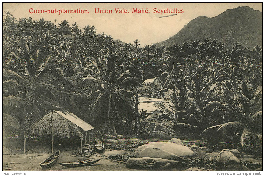 Seychelles : Mahé - Coco Nut Plantation - Seychelles