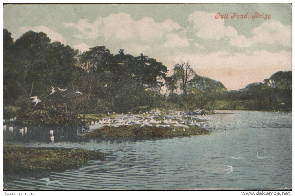 Brigg Gull Ponds Scawby Used Brigg Postmark 1906 Old Postcard - Autres & Non Classés