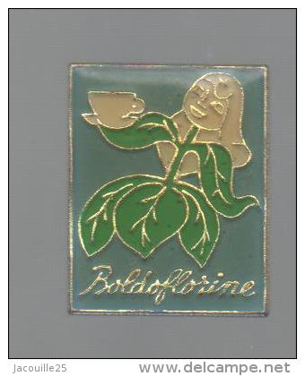 PINS PIN'S PLANTE FLEUR  NATURE VERDURE FRUIT BOLDOFLORINE PIN UP - Autres & Non Classés