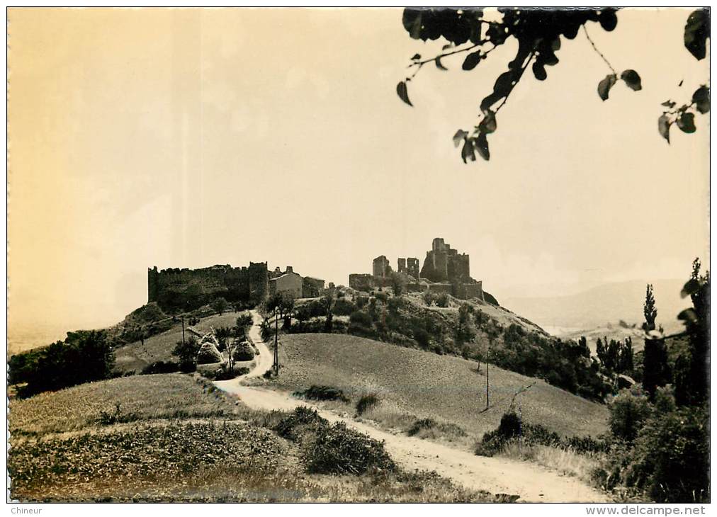 ROCHEMAURE  LE CHATEAU ET LA VALLEE DU RHONE - Rochemaure