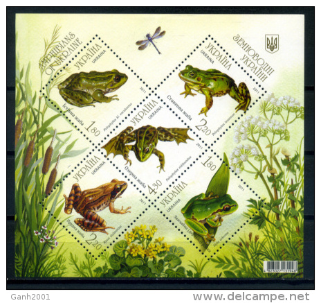 Ukraine 2011 Ucrania / Frogs Fauna MNH Ranas Frosch / C8420   2 - Frogs