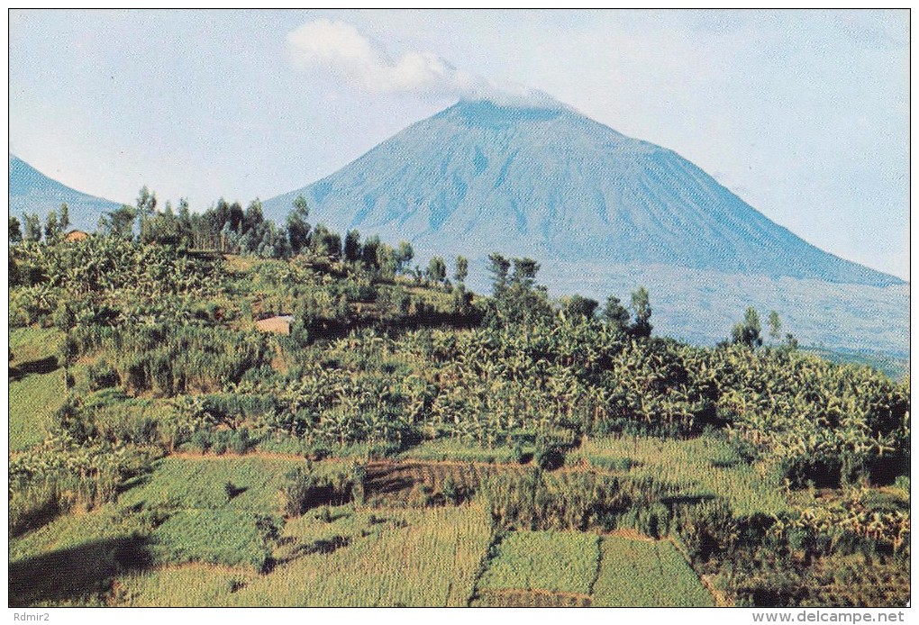 Volcan Muhabura (Rwanda, à La Frontière Avec Uganda) - Rwanda